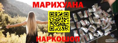 индика Камышлов