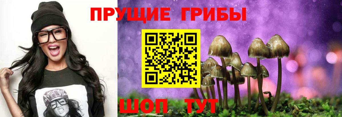 Галлюциногенные грибы MAGIC MUSHROOMS Нижний Тагил